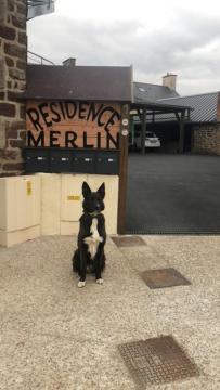 Residence Merlin Appart Des Druides Saint-Malon-sur-Mel Exteriör bild
